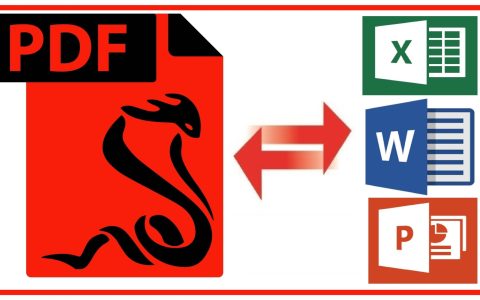 Discover how easy it is to convert PDF to Word with the best online systems