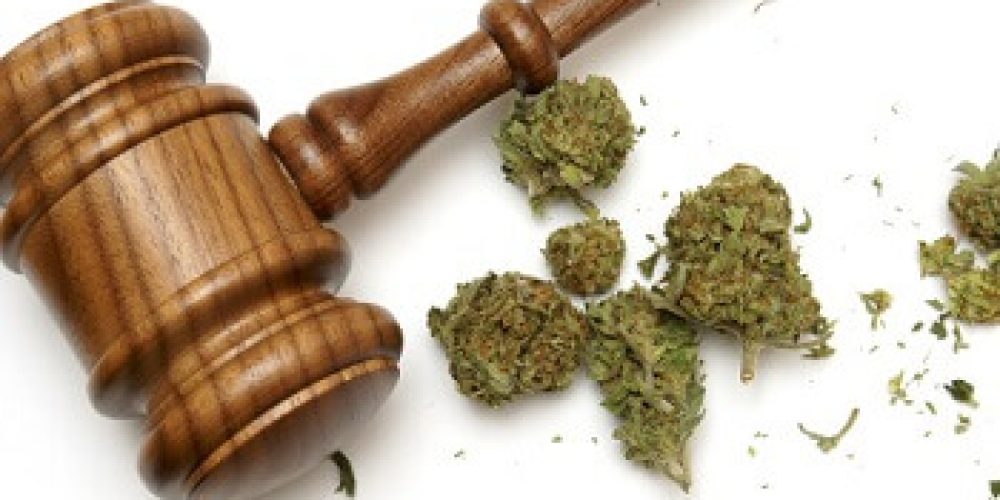 Get A Excellent Merchandise For Your Personal Life Modify -Weed dc